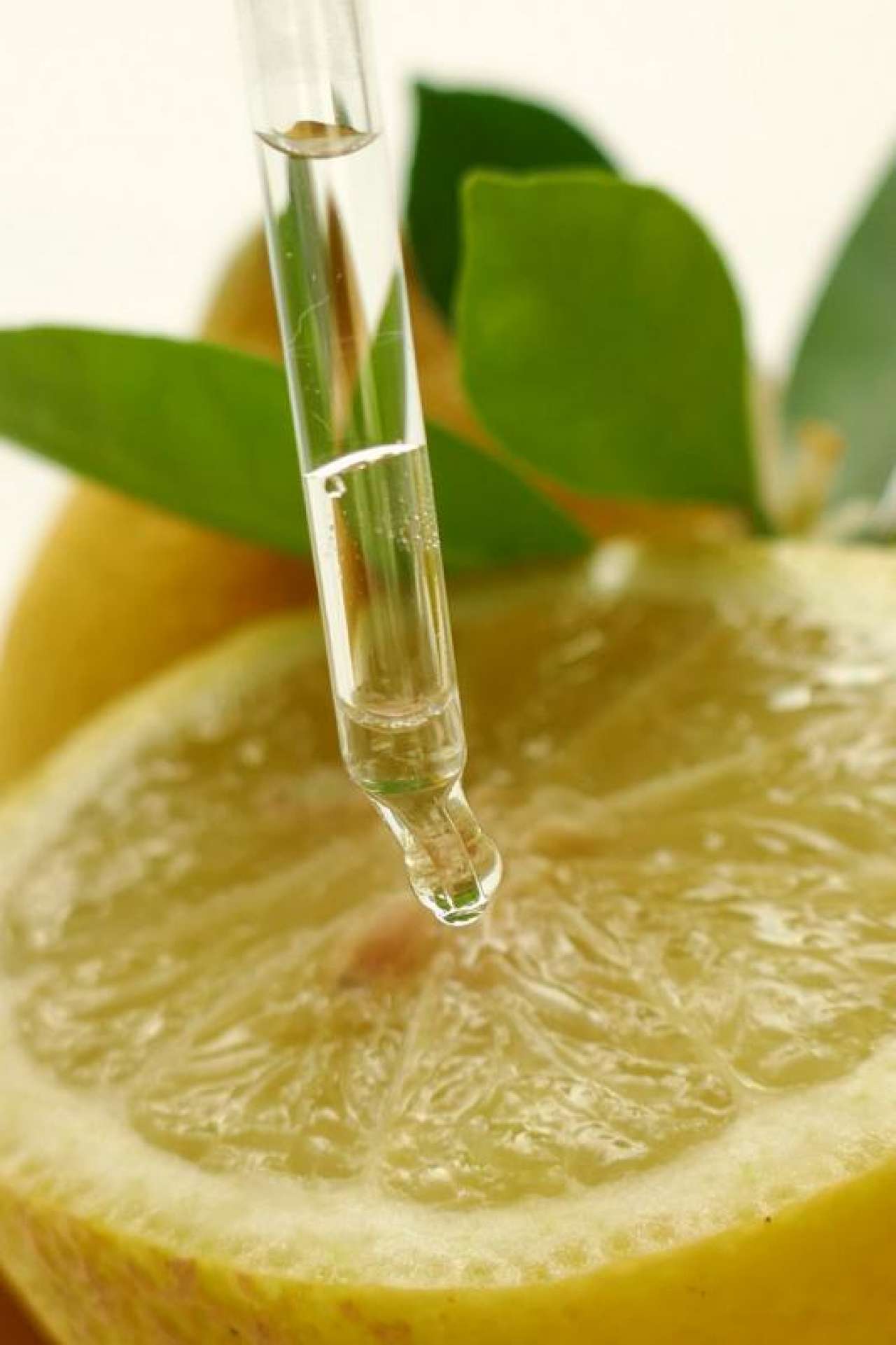 Eterično ulje limuna (lat. Citrus limon) – osvježenje za duh i tijelo