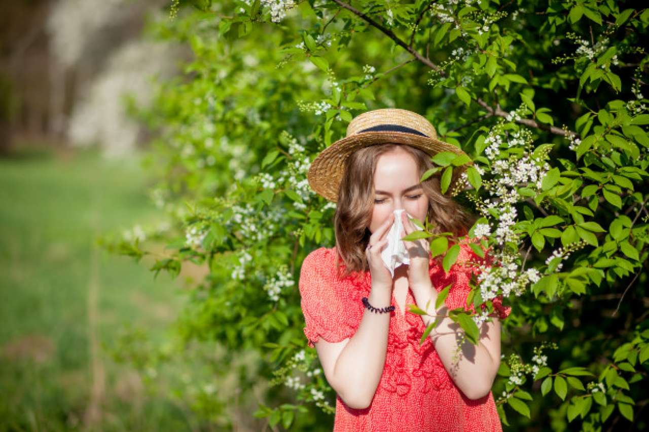 Kako Fitoterapija može pomoći kod proljetnih alergija