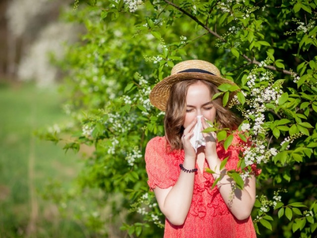 Kako Fitoterapija može pomoći kod proljetnih alergija