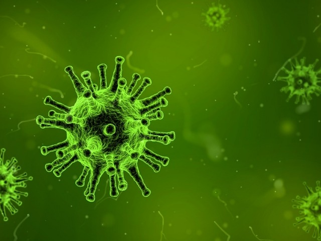 Postoji li zapravo lijek za virusne infekcije?
