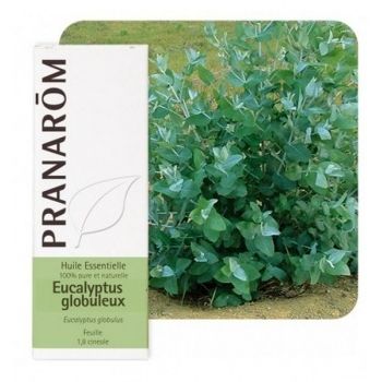 Eukaliptus globulus eterično ulje 10 ml Pranarom