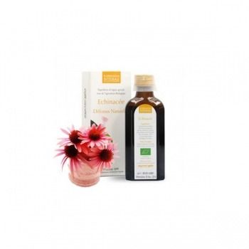 SIPF Echinacea 100 ml Synergia