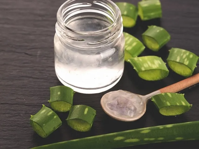 Aloe Vera (Aloe Barbadensis Miller) - biljka za brojne tegobe