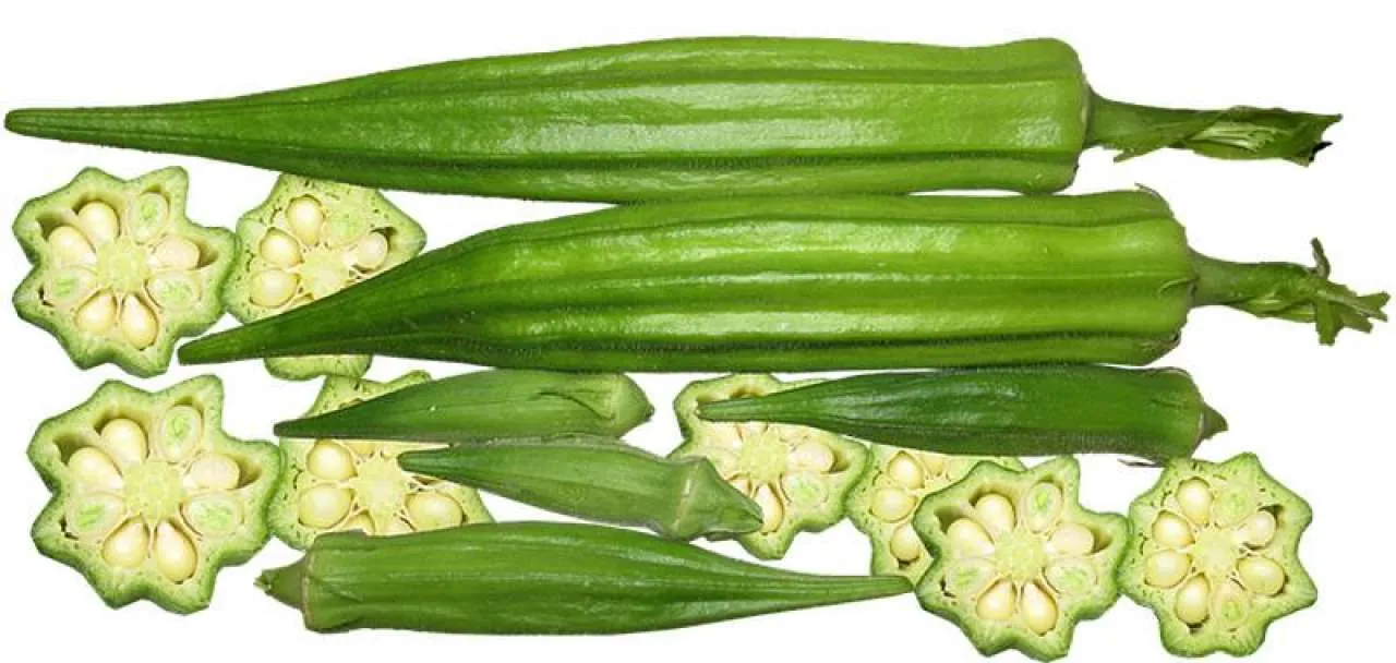 Bamija – svježi plodovi bamije