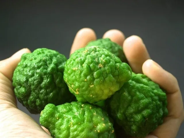 Bergamot - eterično ulje koje može pomoći kod depresije i anksioznosti