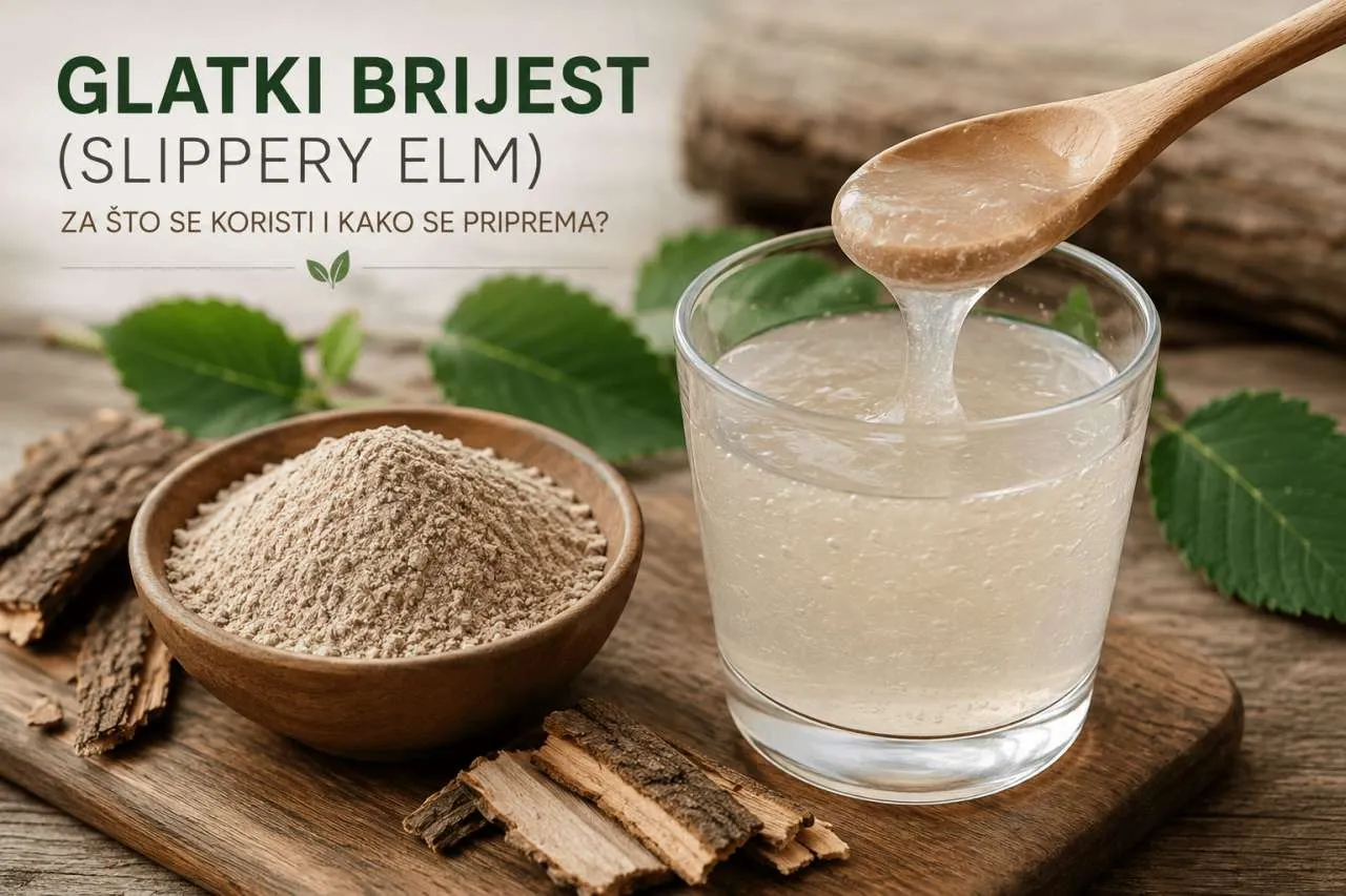 Glatki brijest (Slippery Elm) u prahu i pripremljen s vodom