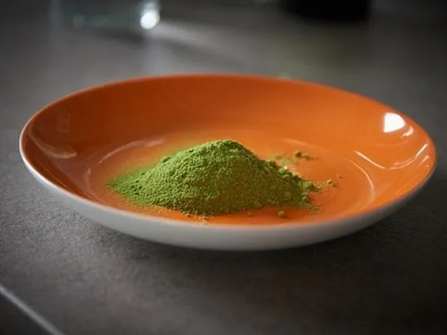 Moringa (Moringa oleifera), drvo života