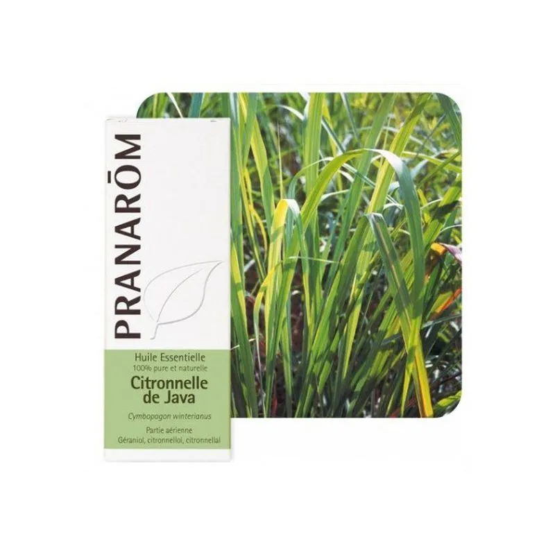 CITRONELA JAVANSKA 10ML PRANAROM