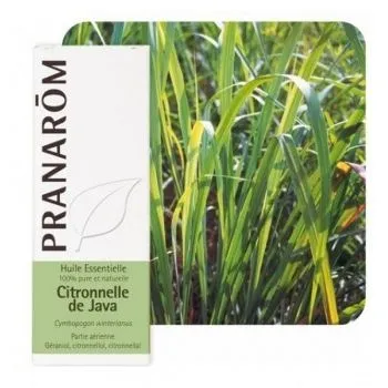 CITRONELA JAVANSKA 10ML PRANAROM