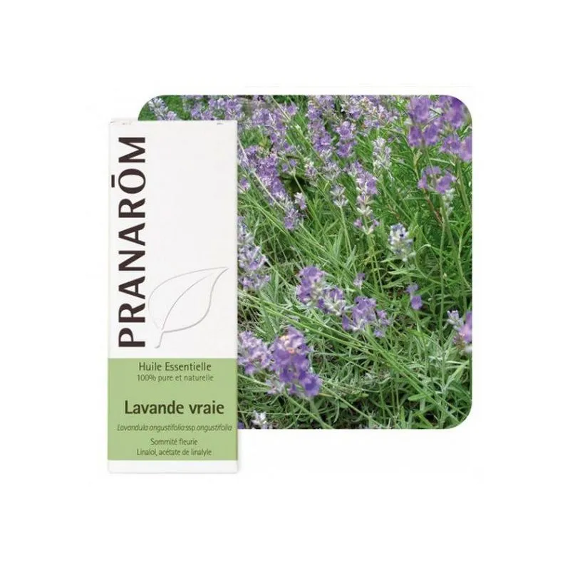 LAVANDA PRAVA ETERIČNO ULJE 10ML PRANAROM