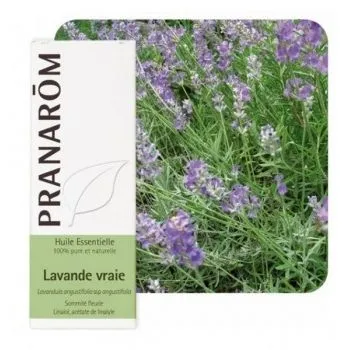 LAVANDA PRAVA ETERIČNO ULJE 10ML PRANAROM