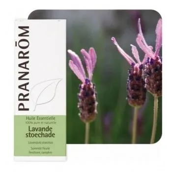 LAVANDA ŠPANJOLSKA ETERIČNO ULJE 10ML PRANAROM