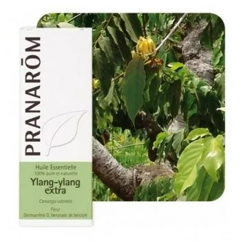 YLANG YLANG EXTRA ETERIČNO ULJE 5ML PRANAROM