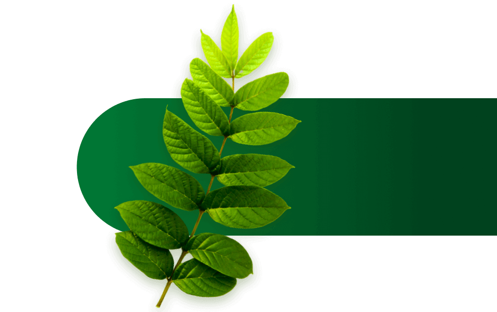 ZAŠTO BIO TERRA ZAŠTO BIO TERRA